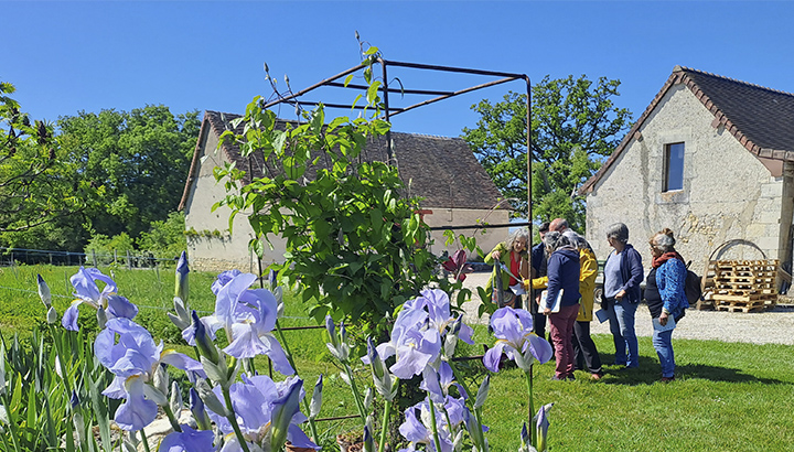 Printemps sauvage